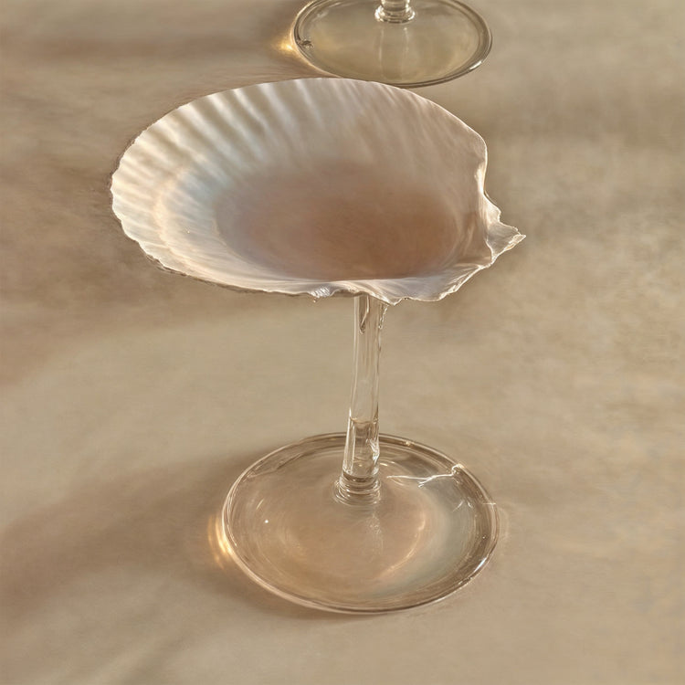 The Sea Shell Cup
