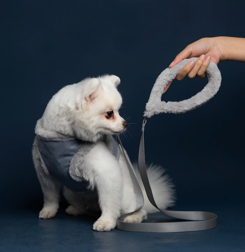 Royal Harness