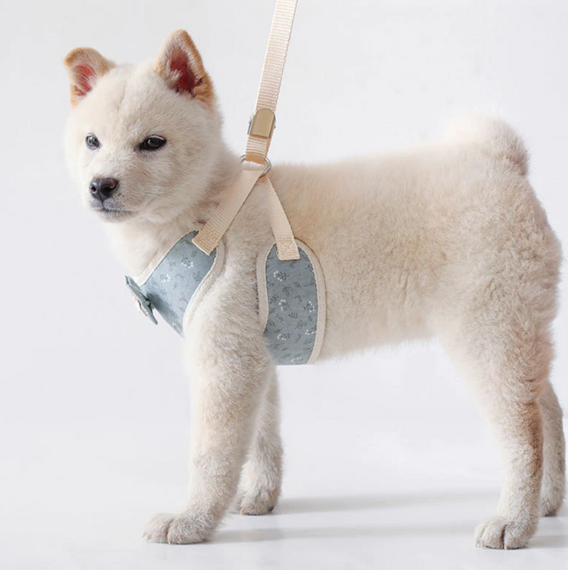 The Bow Harness