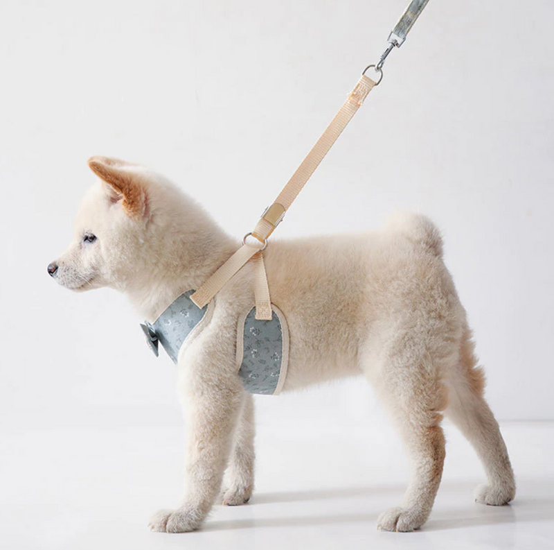 The Bow Harness