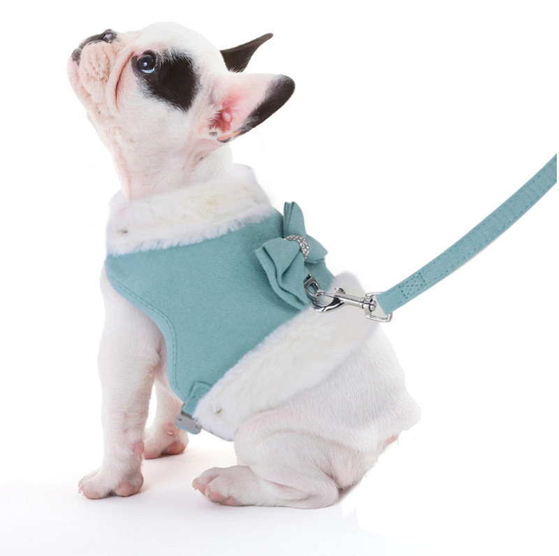The Princess Harness