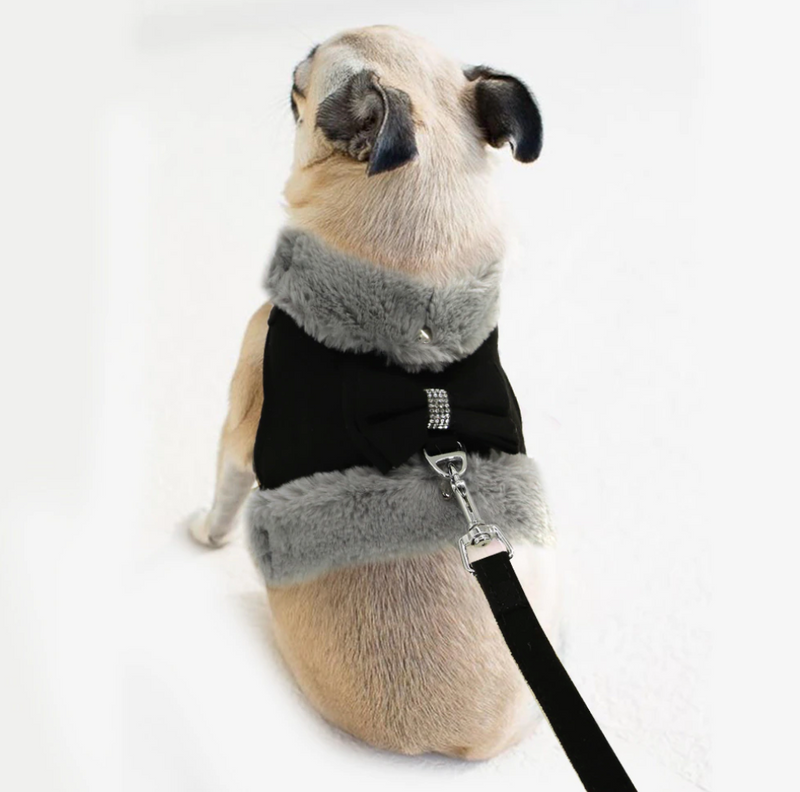 The Princess Harness