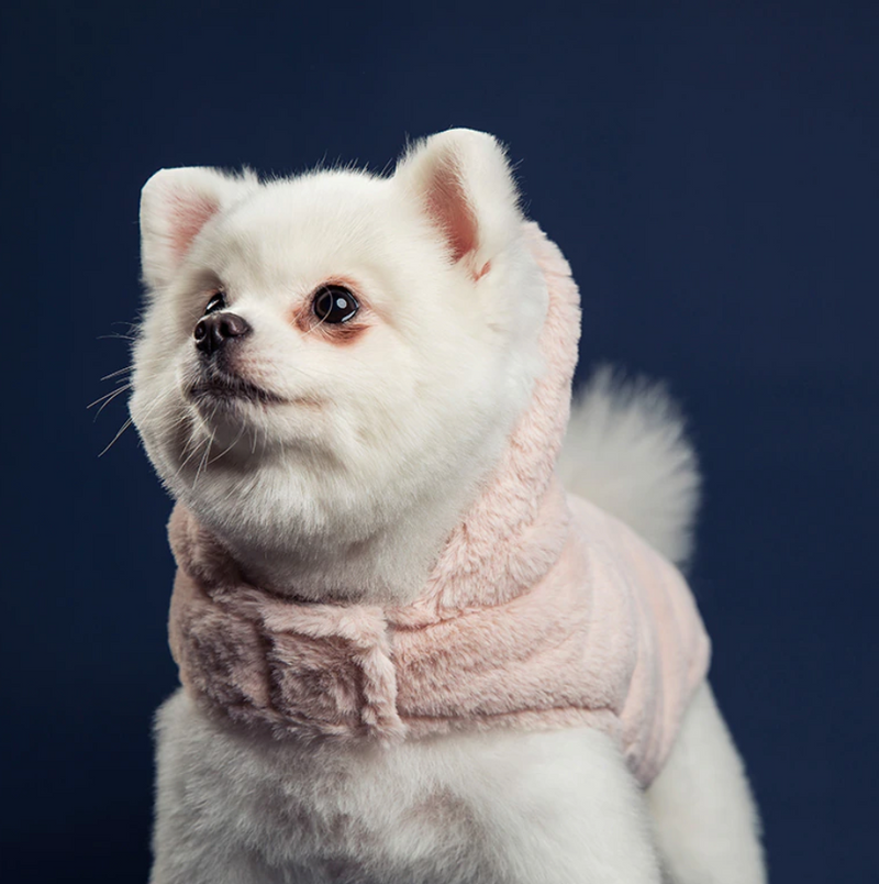 The Pink Fur Coat