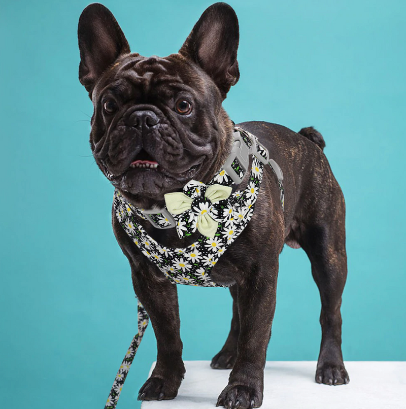 The Floral  Harness Set