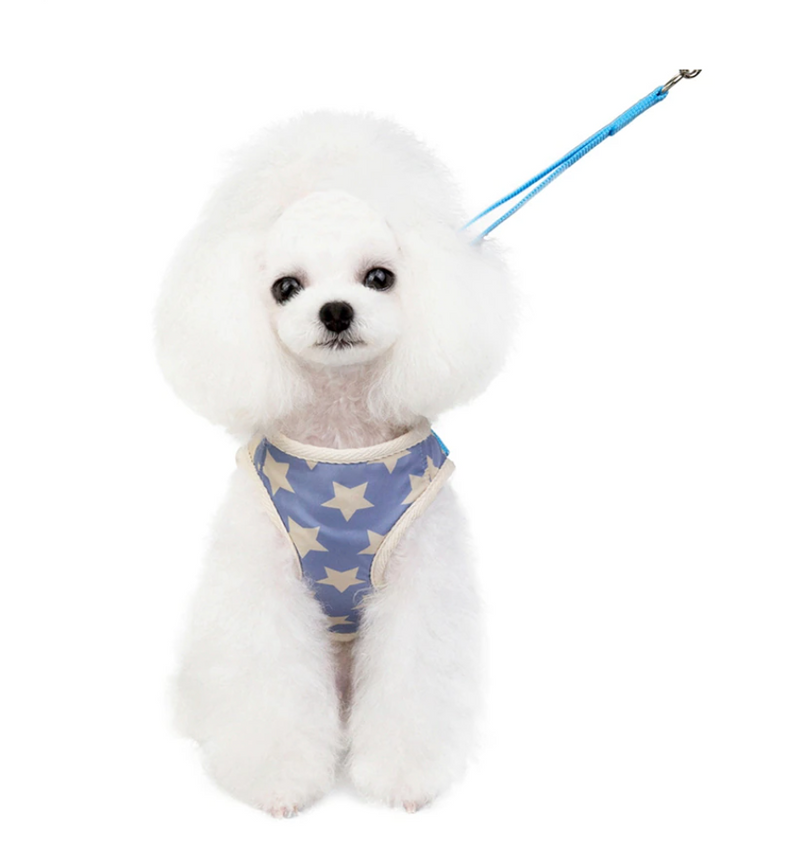 The Stars Harness