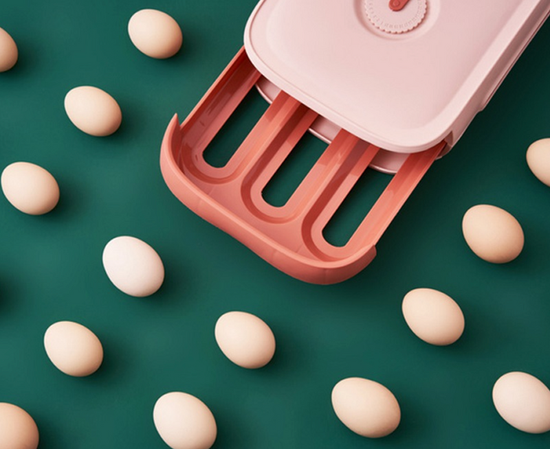 egg cooler box