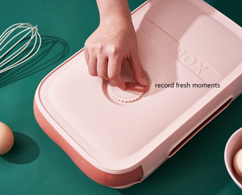 egg cooler box