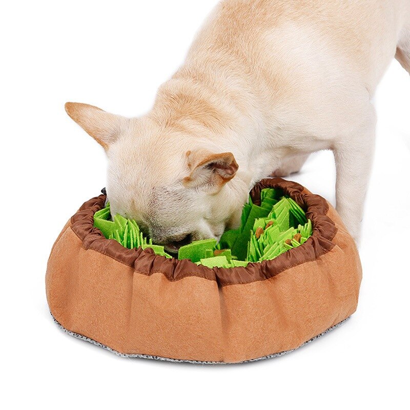 The Bowl