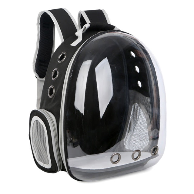 The Bubble Backpack