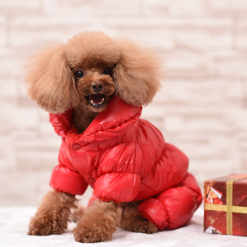 The Puffy Coat