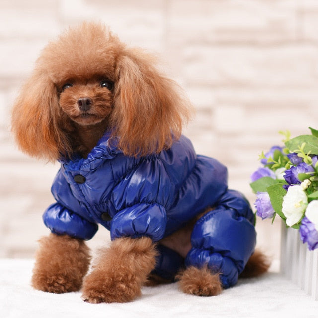 The Puffy Coat